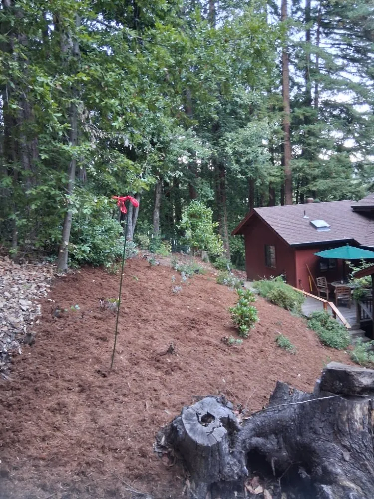 Custom garden landscaping in Boulder Creek, CA by Fullscape Landscaping & Maintenance