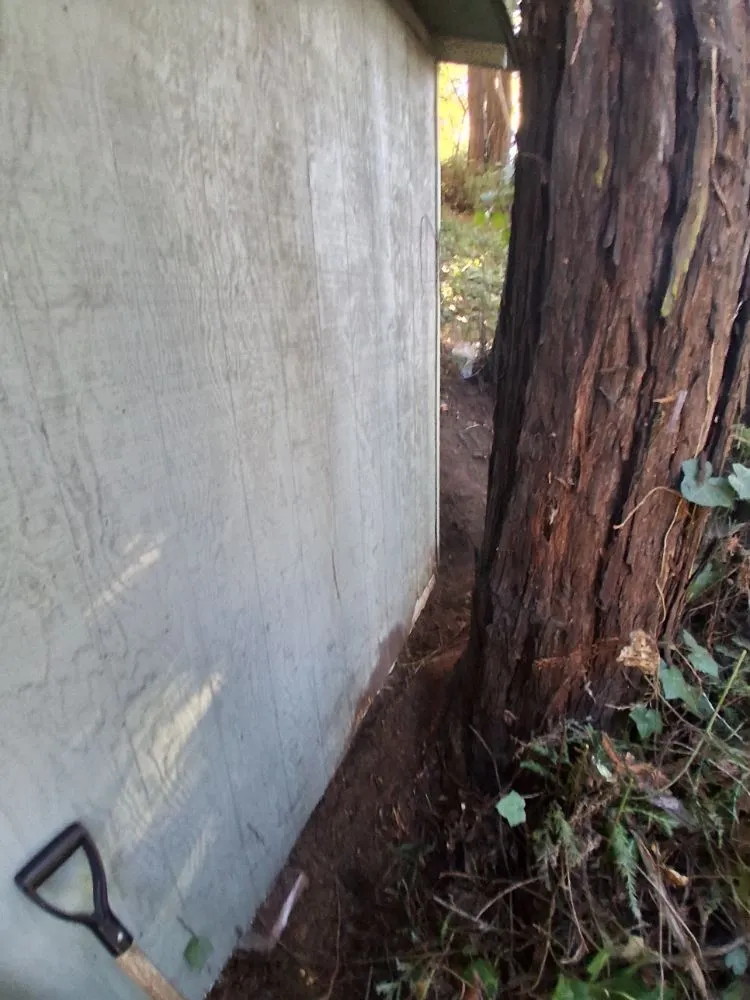 Expert outdoor landscaping in Boulder Creek, CA - Fullscape Landscaping & Maintenance