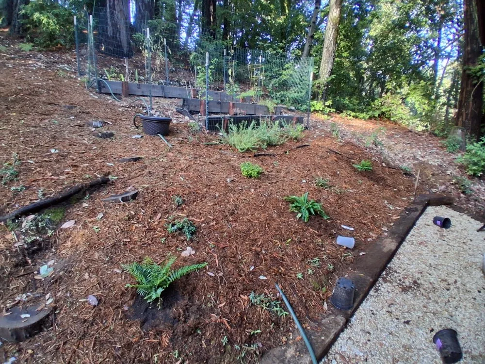 Trusted lawn mowing service in Boulder Creek, CA by Fullscape Landscaping & Maintenance