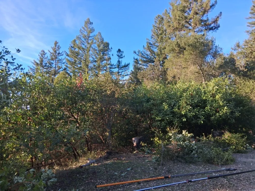 Trusted lawn care service experts serving Boulder Creek, CA - Fullscape Landscaping & Maintenance