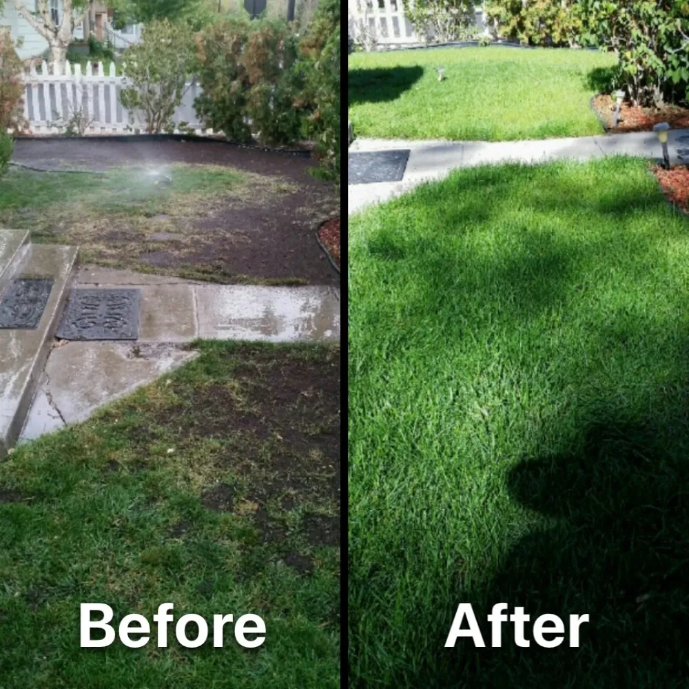 Expert landscape installation in Redlands, CA - Fully Equipped Landscape