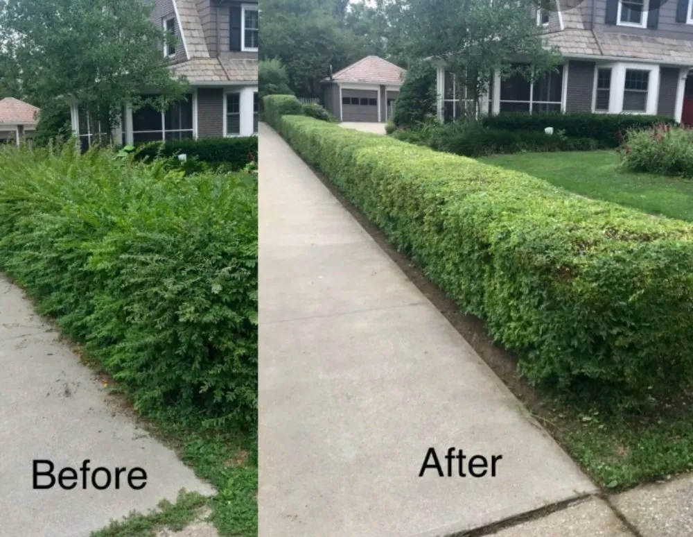 Top-rated residential landscaping for beautiful yards across Redlands, CA - Fully Equipped Landscape