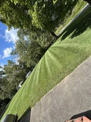 Fully Involved Lawn Care and Landscaping