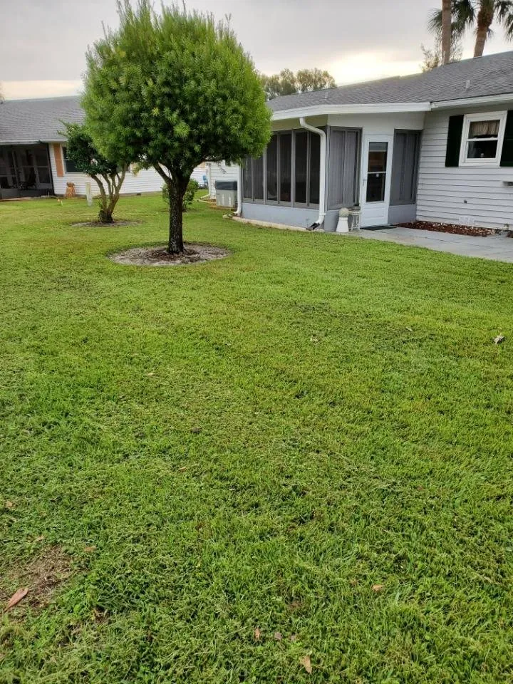 Professional landscape installation for outdoor upgrades in Leesburg, FL by Fully Involved Lawn Services