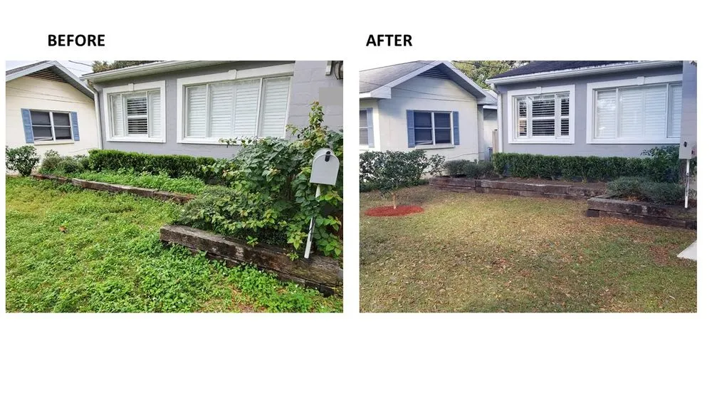 Custom yard cleanup service in Leesburg, FL by Fully Involved Lawn Services