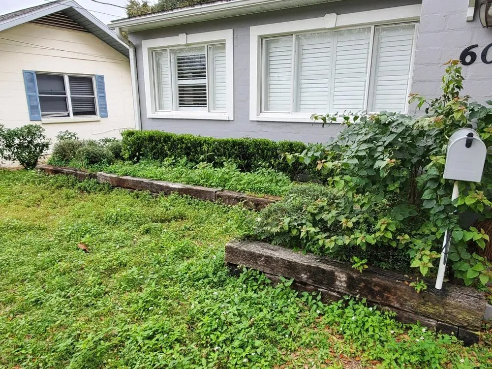 Reliable yard maintenance in Leesburg, FL by Fully Involved Lawn Services