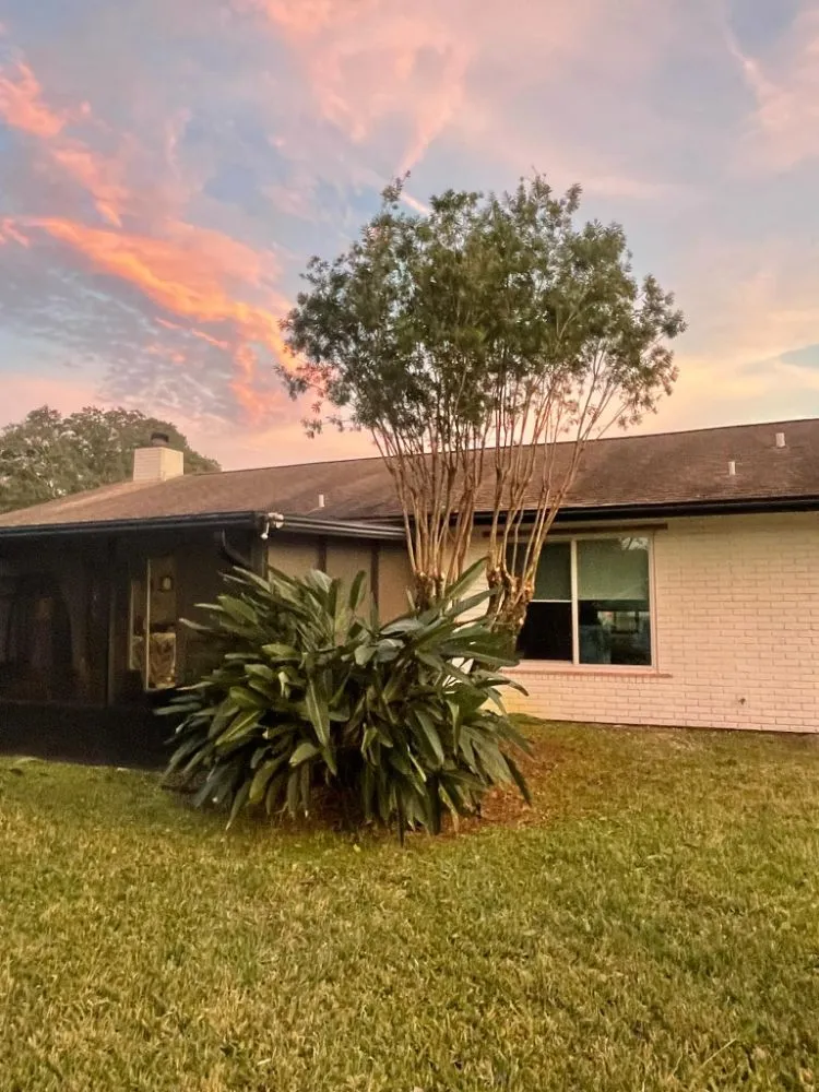 Reliable lawn care service for homes across Palm Bay, FL - Fully Loaded Lawn and Landscaping