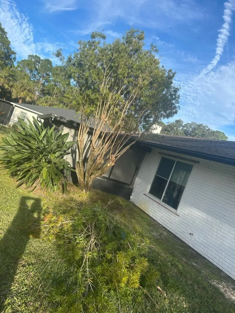 Expert landscape design for outdoor upgrades across Palm Bay, FL - Fully Loaded Lawn and Landscaping