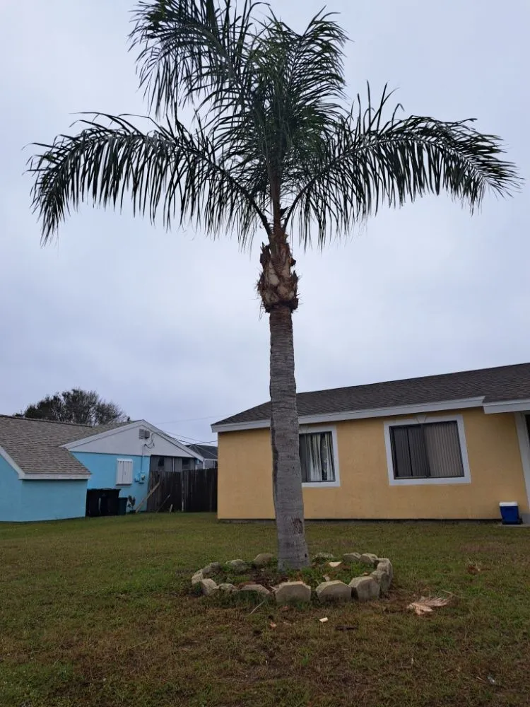 Professional garden landscaping for year-round maintenance across Palm Bay, FL - Fully Loaded Lawn and Landscaping