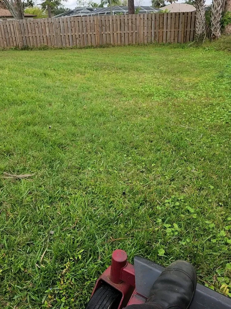 Trusted yard cleanup service for homes in Palm Bay, FL by Fully Loaded Lawn and Landscaping