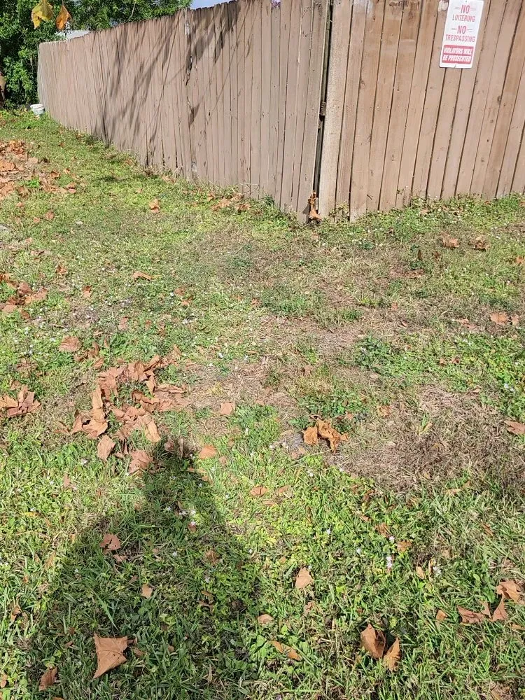 Professional garden landscaping in Palm Bay, FL by Fully Loaded Lawn and Landscaping