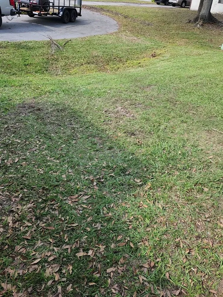 Reliable landscaping services for homes in Palm Bay, FL by Fully Loaded Lawn and Landscaping