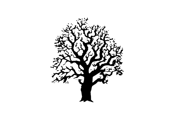 Professional yard maintenance in South Beloit, IL by Fulton Landscaping