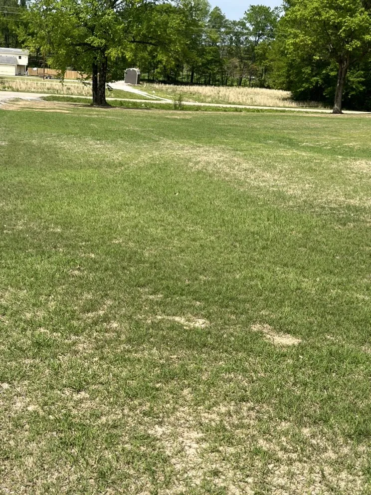 Affordable residential landscaping for residential properties in Harrisburg, AR by Fulton lawncare