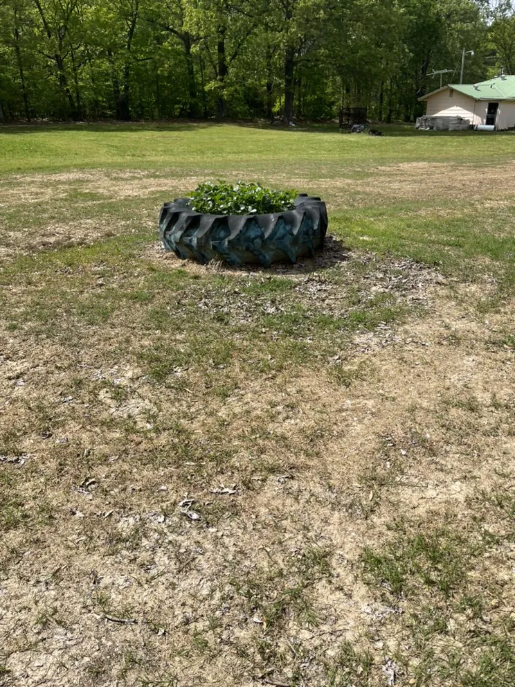 Local landscape design near you in Harrisburg, AR by Fulton lawncare