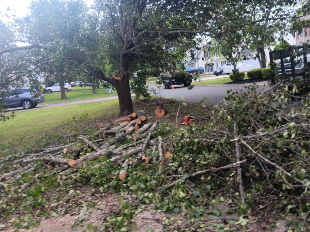 Top-rated outdoor landscaping in Pageland, SC - Funderburk Landscaping