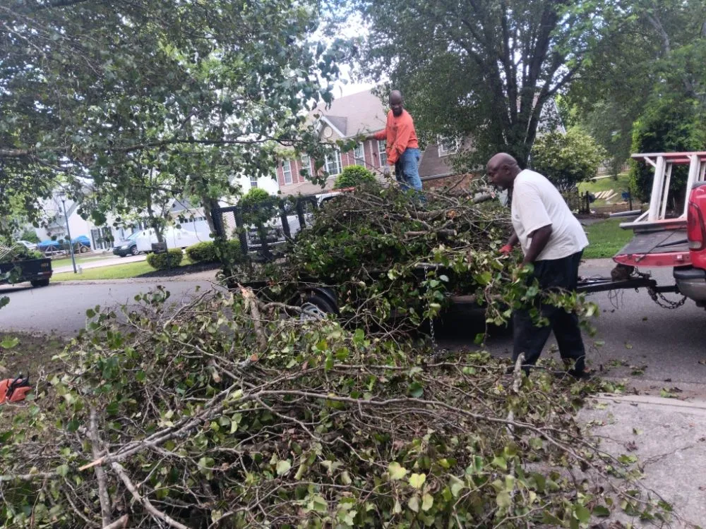 Professional lawn care service for beautiful yards across Pageland, SC - Funderburk Landscaping