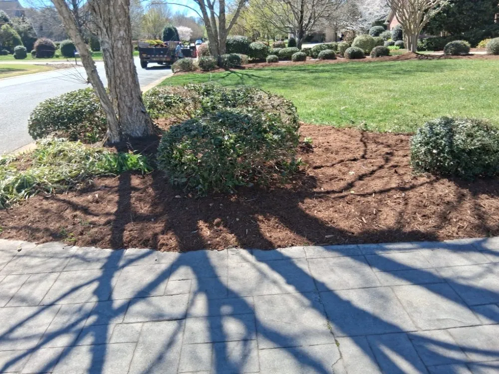 Expert lawn care service experts serving Pageland, SC - Funderburk Landscaping