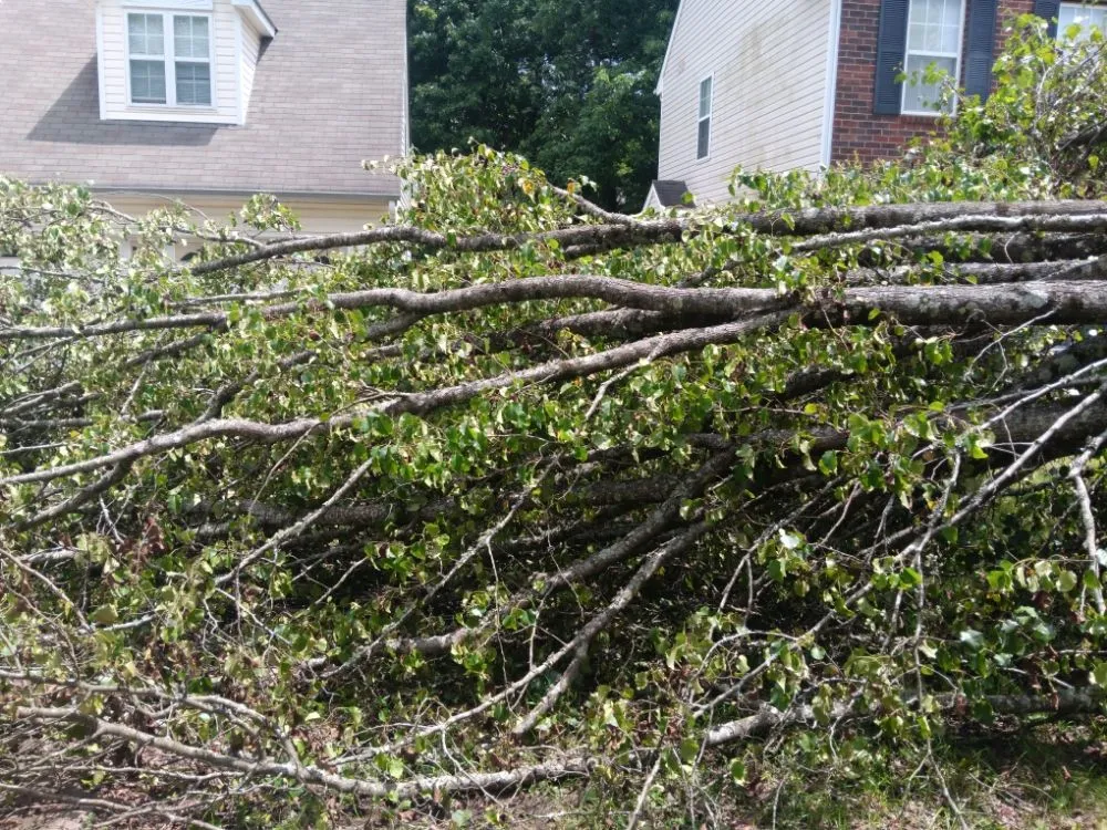 Trusted lawn mowing service for outdoor upgrades across Pageland, SC - Funderburk Landscaping