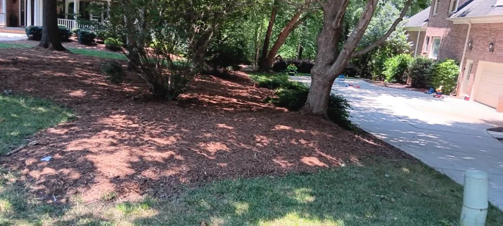 Professional yard maintenance in Pageland, SC - Funderburk Landscaping