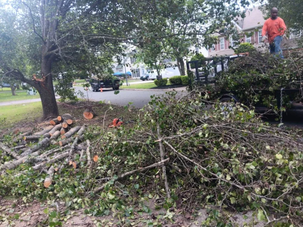 Top-rated landscaping services for residential properties in Pageland, SC by Funderburk Landscaping