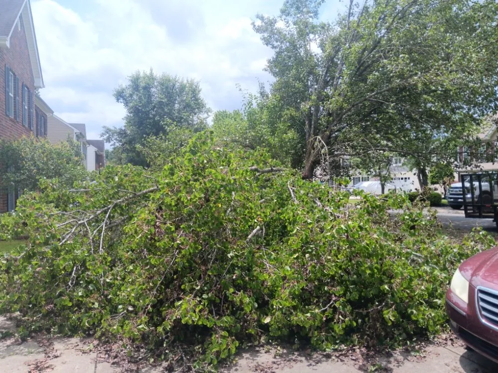 Trusted landscape installation in Pageland, SC - Funderburk Landscaping