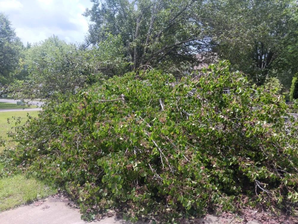 Reliable yard cleanup service in Pageland, SC by Funderburk Landscaping