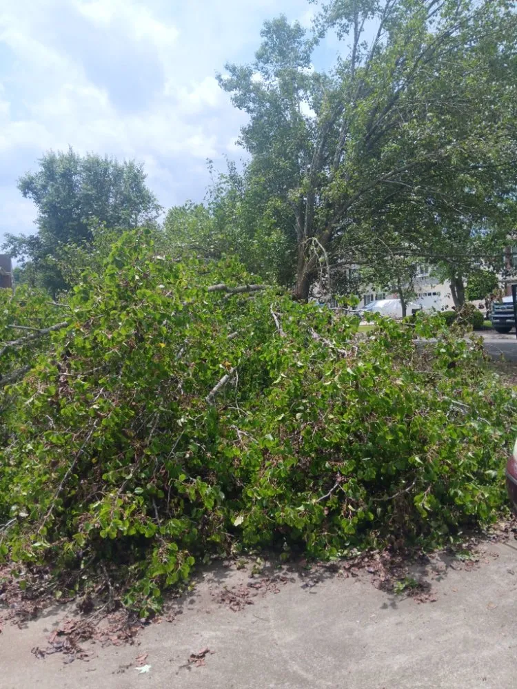 Local yard cleanup service in Pageland, SC - Funderburk Landscaping