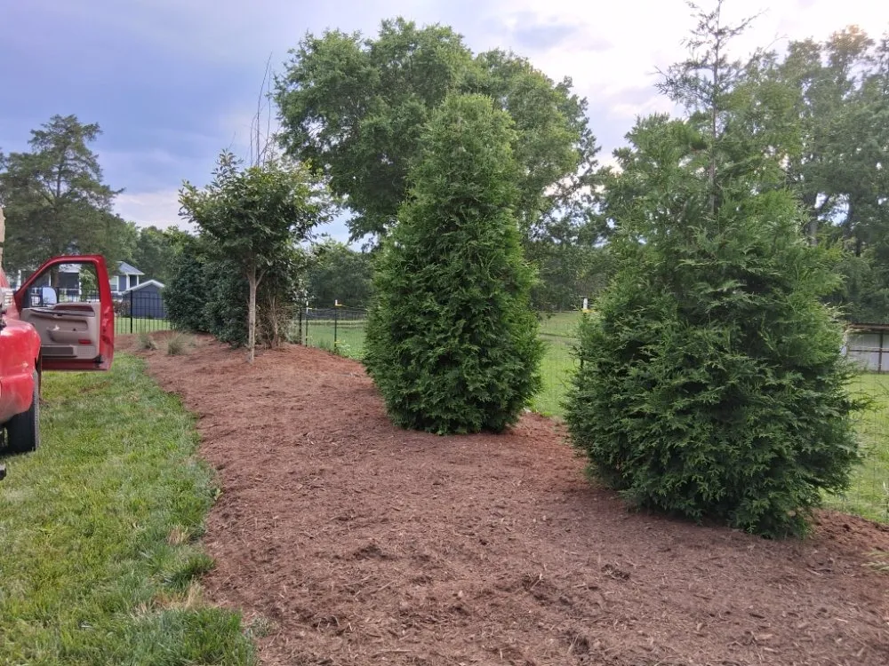 Affordable landscape installation in Pageland, SC - Funderburk Landscaping