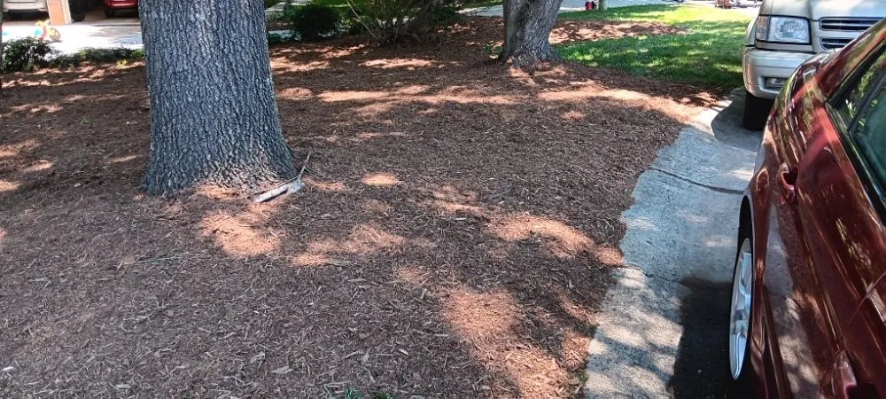 Professional landscaping services for beautiful yards in Pageland, SC by Funderburk Landscaping