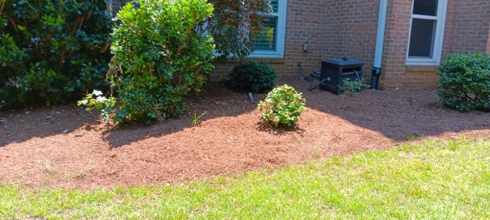 Top-rated residential landscaping experts serving Pageland, SC - Funderburk Landscaping