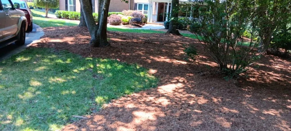 Affordable landscaping services experts serving Pageland, SC - Funderburk Landscaping