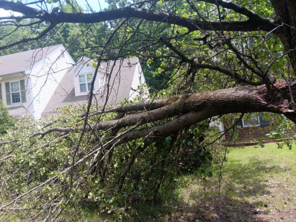 Affordable residential landscaping in Pageland, SC by Funderburk Landscaping