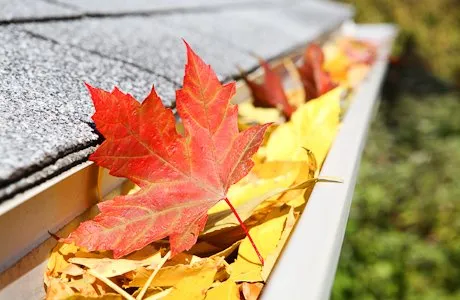 Reliable garden landscaping with custom design in Yonkers, NY by Funes Landscapes