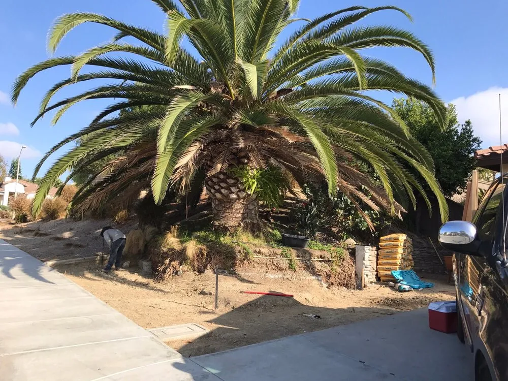 Custom outdoor landscaping in Encinitas, CA - Funes Landscaping & Construction