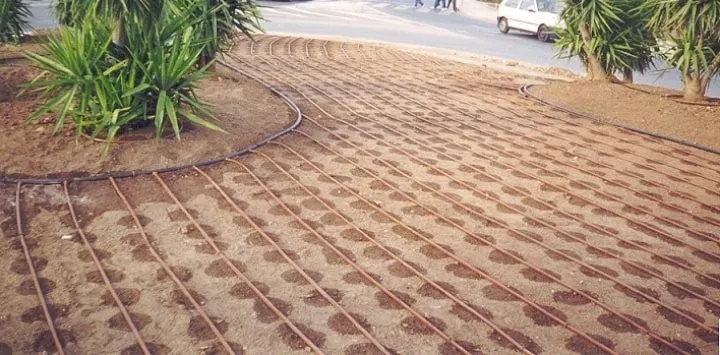 Custom lawn care service near you across Encinitas, CA - Funes Landscaping & Construction