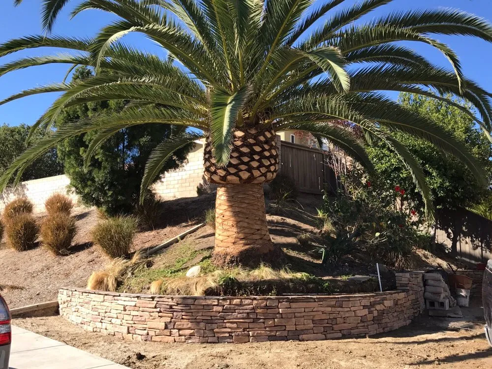 Affordable landscape installation for year-round maintenance in Encinitas, CA by Funes Landscaping & Construction