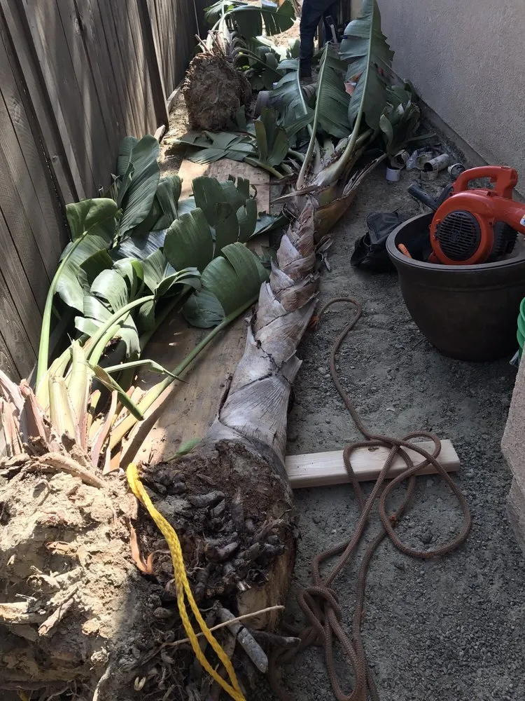 Local residential landscaping for outdoor upgrades across Encinitas, CA - Funes Landscaping & Construction