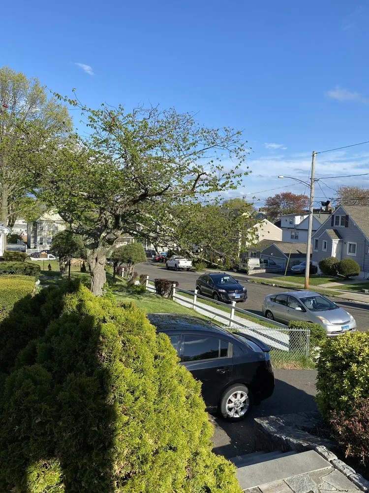 Reliable outdoor landscaping in Norwalk, CT by Funez handyman & landscaping services