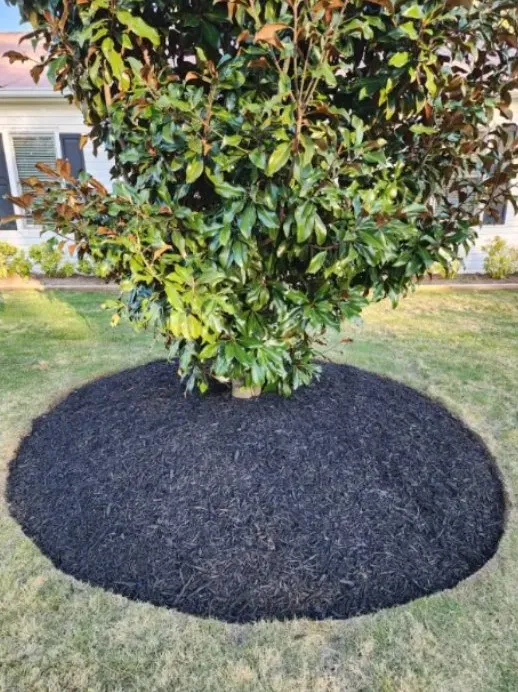Affordable residential landscaping in Sugar Hill, GA - Funez Landscaping