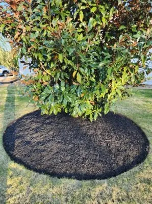 Funez Landscaping Logo