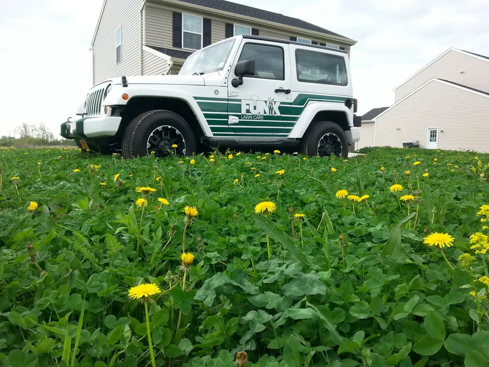 Top-rated landscape design experts serving Tonawanda, NY - Funk Lawn Care