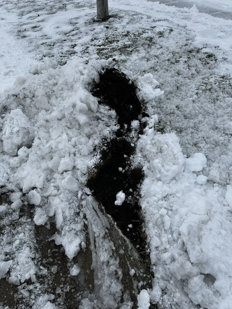 Top-rated yard cleanup service for beautiful yards in Fargo, ND by Funk's Lawn Care Service