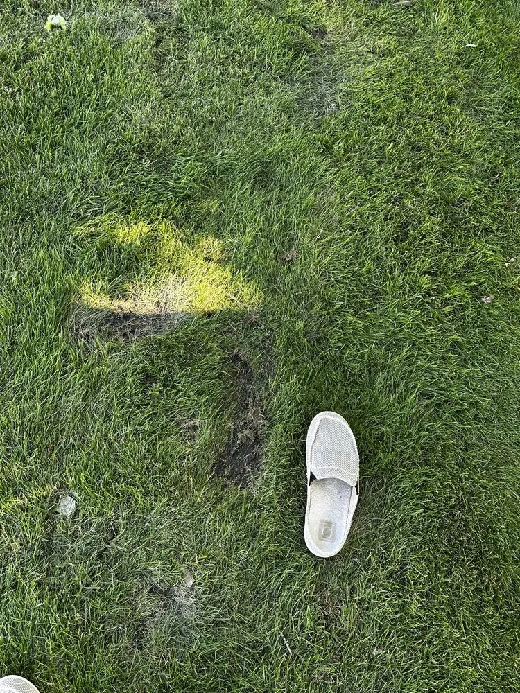 Expert yard maintenance in Fargo, ND - Funk's Lawn Care Service