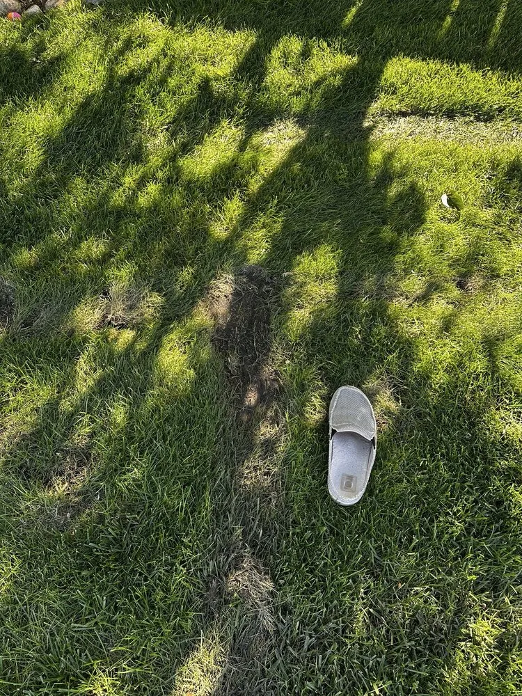 Custom lawn mowing service in Fargo, ND by Funk's Lawn Care Service