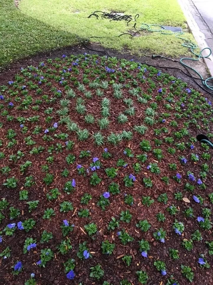 Top-rated landscaping services in Lake Worth, TX - Funky Town Landscaping