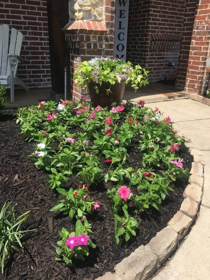 Professional yard cleanup service experts serving Lake Worth, TX - Funky Town Landscaping