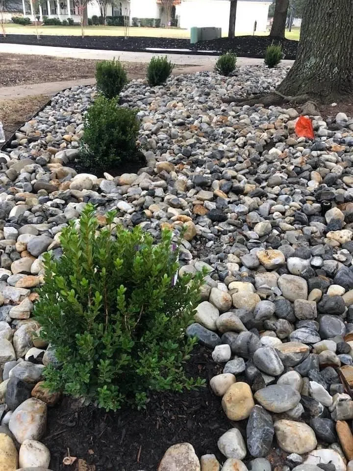 Custom yard cleanup service for residential properties across Lake Worth, TX - Funky Town Landscaping