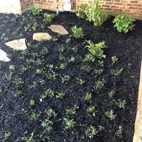 Local outdoor landscaping experts serving Lake Worth, TX - Funky Town Landscaping