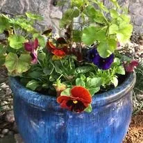 Affordable yard maintenance for beautiful yards across Lake Worth, TX - Funky Town Landscaping